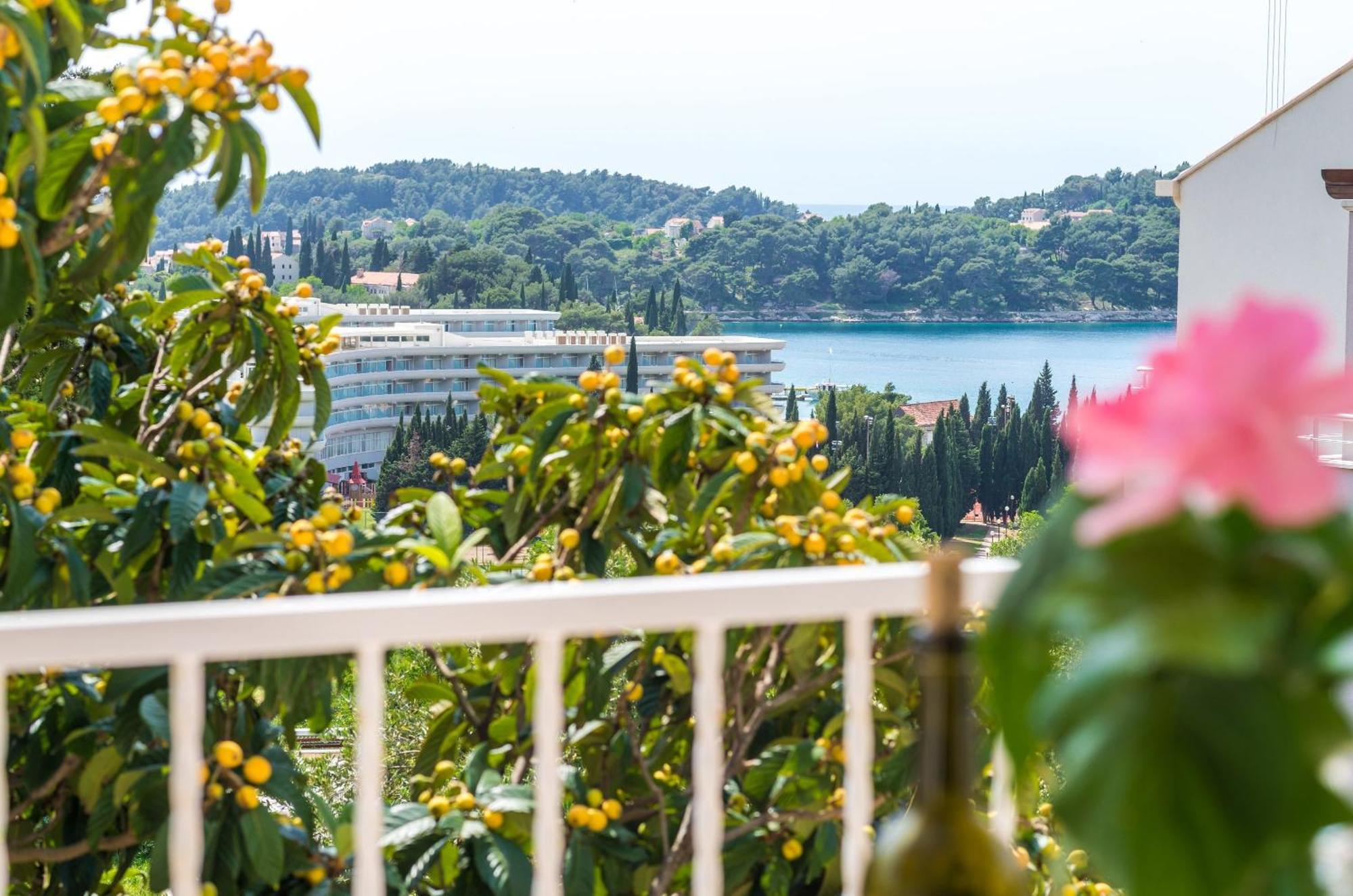 Villa Bind Cavtat Cameră foto